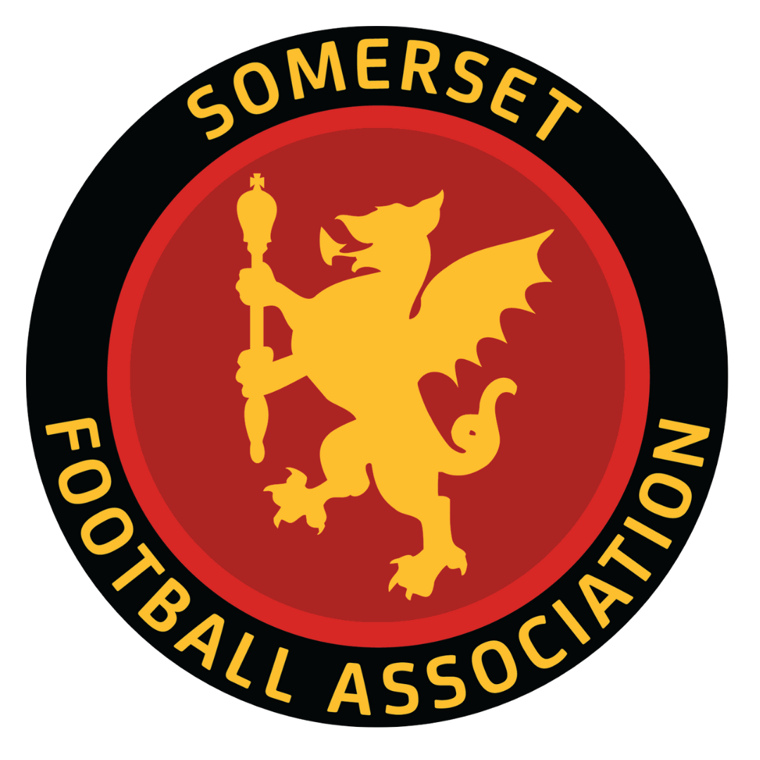 Somerset FA Image